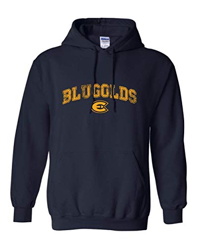 Wisconsin Eau Claire Blugolds Arched One Color Hooded