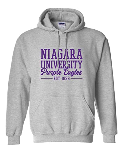 Vintage Niagara University Hooded