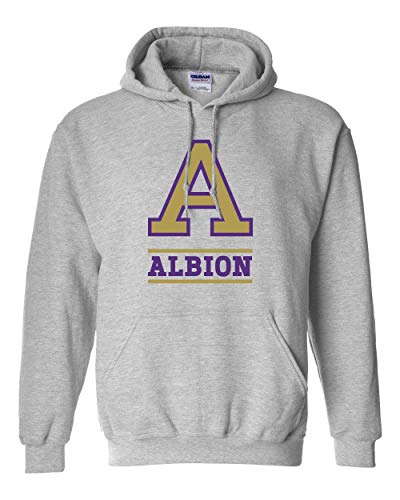 Albion College 2 Color A Hooded  Albion Britons Student and Alumni MensWomens Hoodie