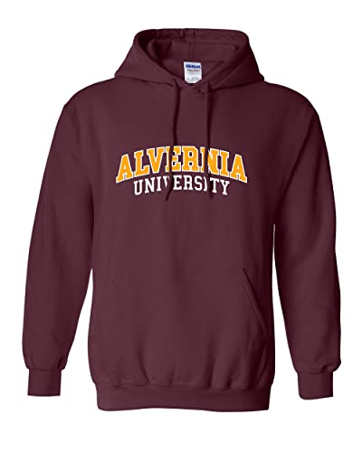 Alvernia University Block Unisex Hooded