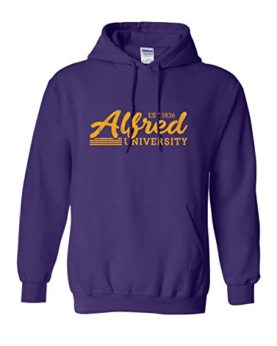 Vintage Alfred University Hooded