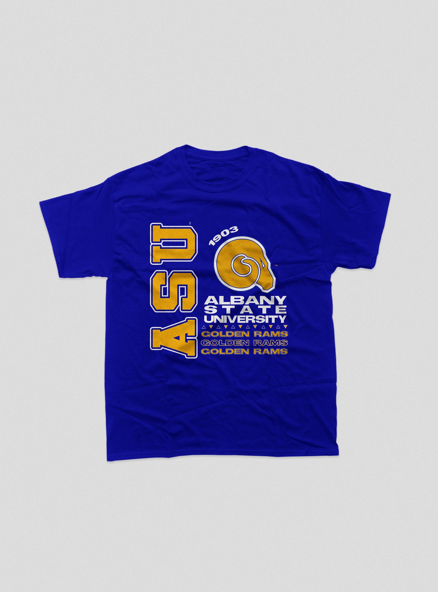 ALBANY STATE TOUR TEE