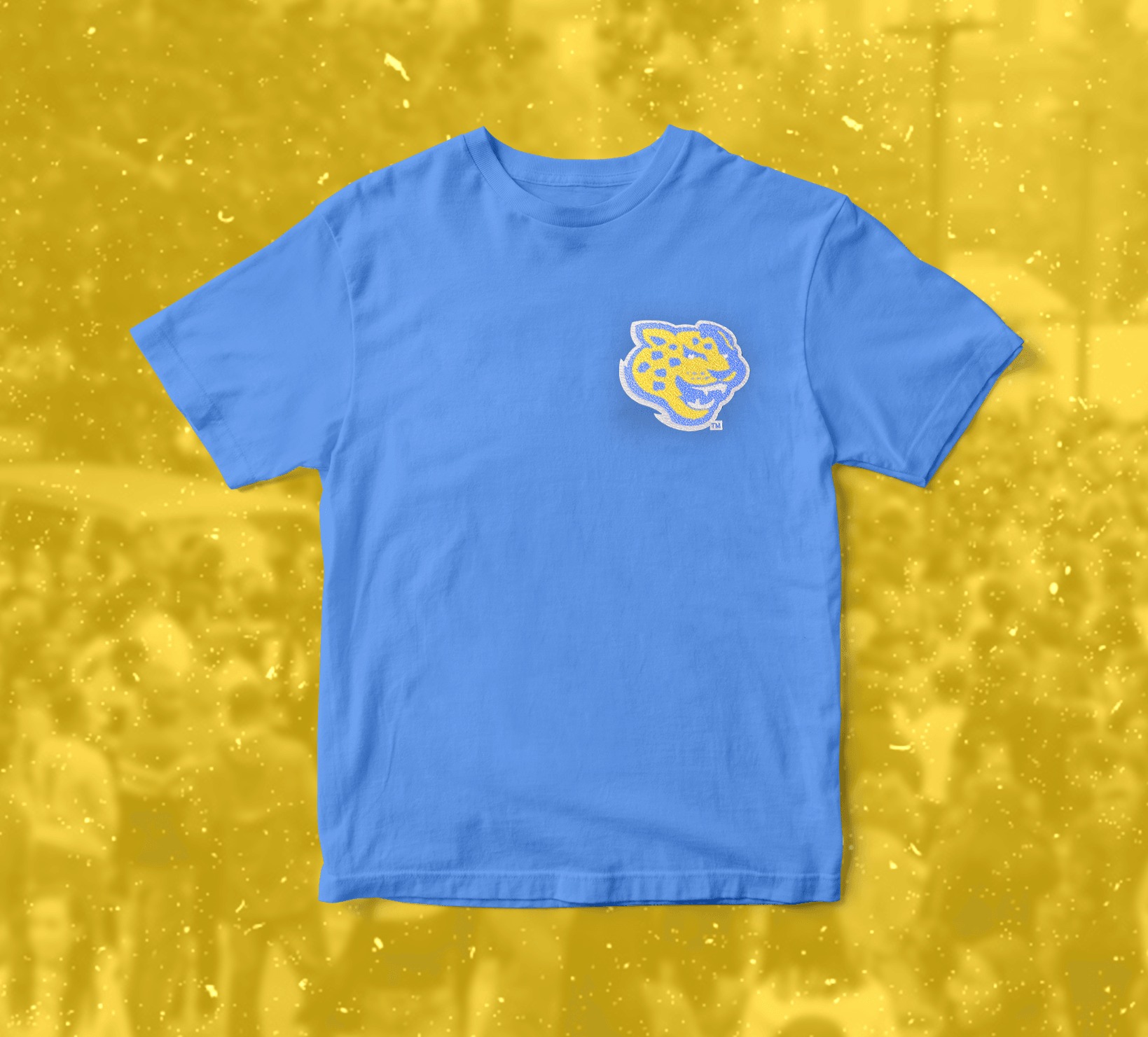 BLUE SOUTHERN T-SHIRT