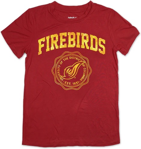 Big Boy District of Columbia Firebirds S3 Ladies Jersey Tee [Crimson Red]