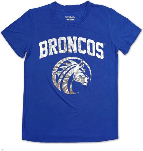 Big Boy Fayetteville State Broncos S3 Ladies Jersey Tee [Royal Blue]