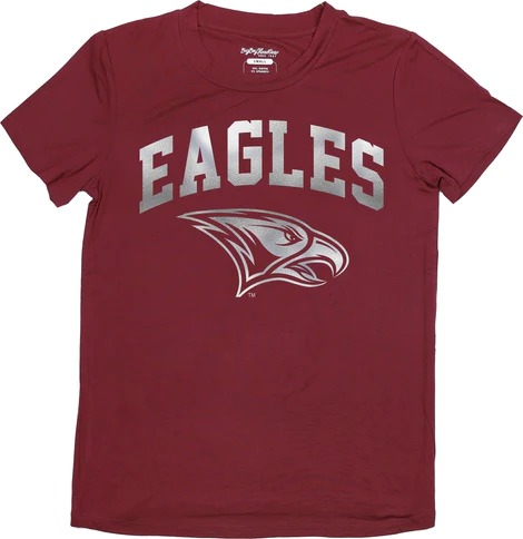 Big Boy North Carolina Central Eagles S3 Ladies Jersey Tee [Maroon]