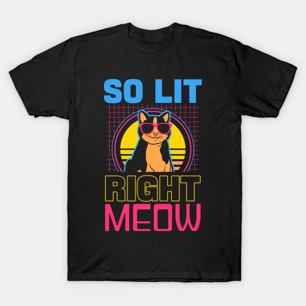 EDM Rave Techno Shirt 80s Lit Right Meow T-Shirt