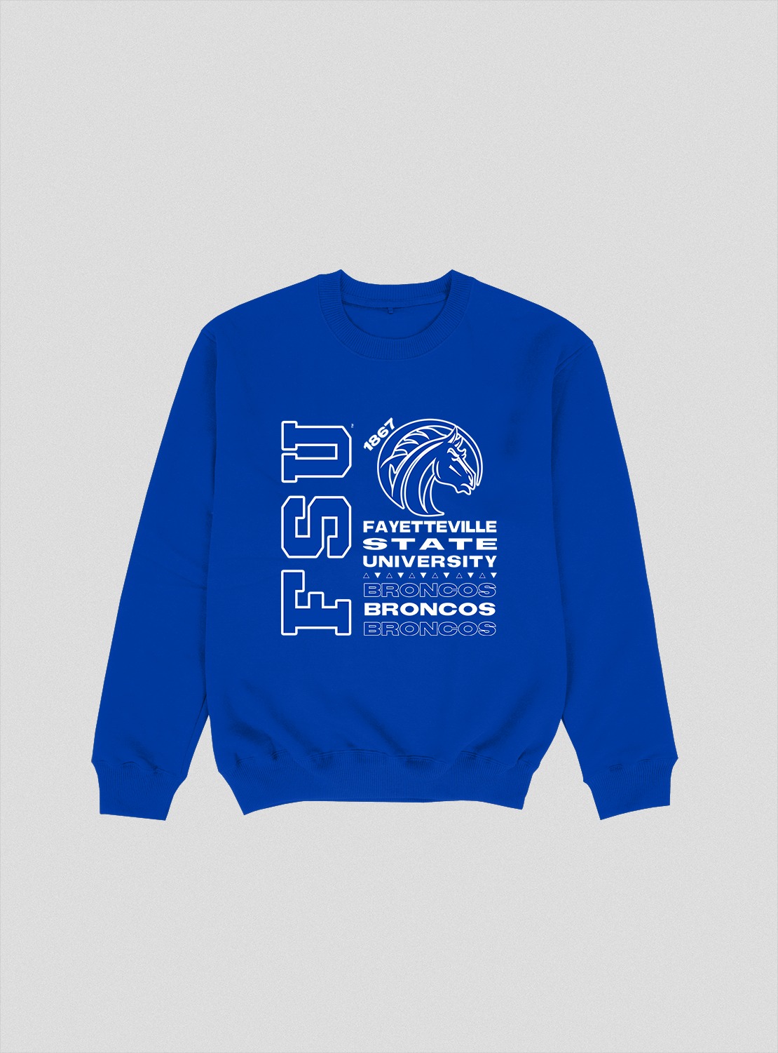 FAYETTEVILLE STATE TOUR CREWNECK BLUE COLOR