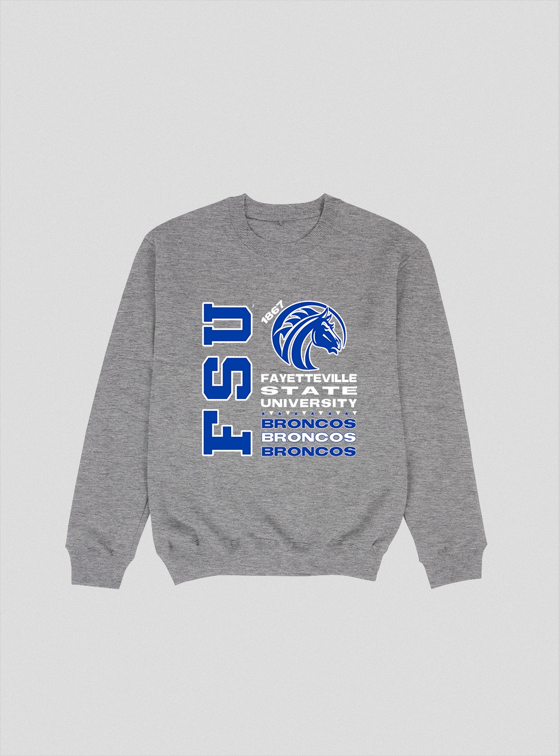 FAYETTEVILLE STATE TOUR CREWNECK GREY COLOR