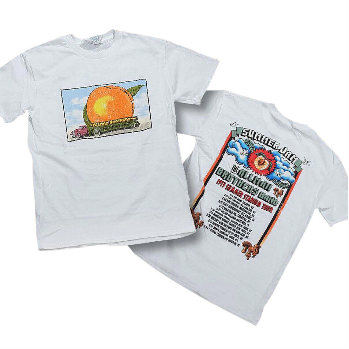 Vintage The Allman Brothers Band 1973 Summer Stadium Tour T-shirt